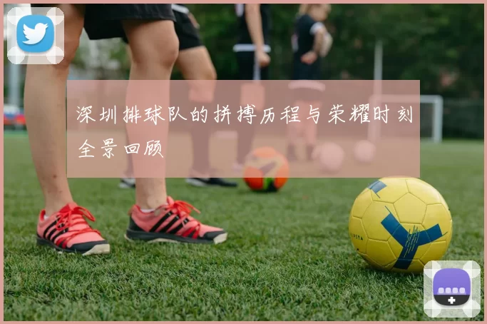 深圳排球队的拼搏历程与荣耀时刻全景回顾