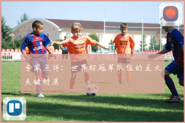 专家点评：世界杯冠军队伍的五大关键特质