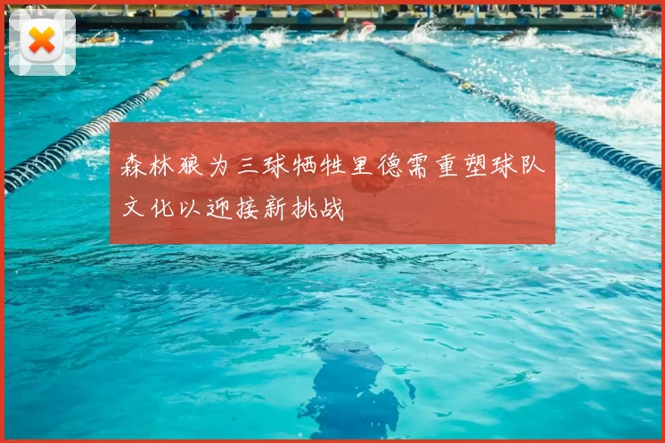 森林狼为三球牺牲里德需重塑球队文化以迎接新挑战