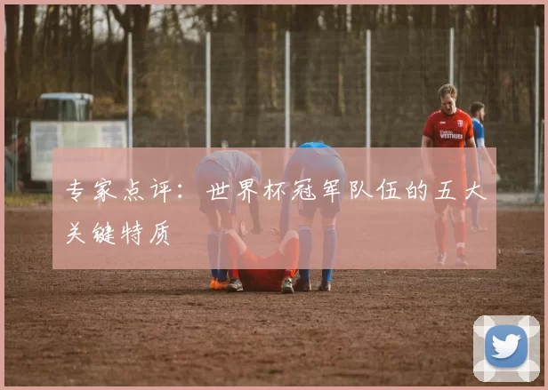 专家点评：世界杯冠军队伍的五大关键特质
