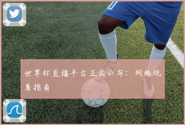 世界杯直播平台正式公布：网络观看指南