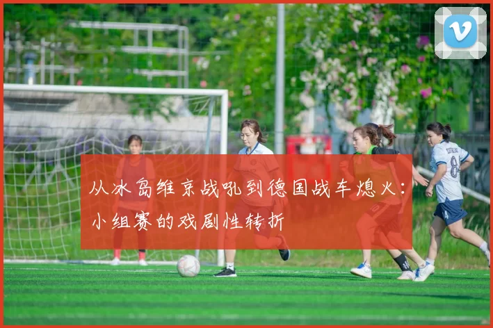 从冰岛维京战吼到德国战车熄火：小组赛的戏剧性转折