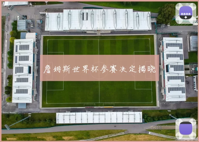 詹姆斯世界杯参赛决定揭晓
