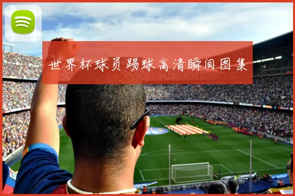 世界杯球员踢球高清瞬间图集