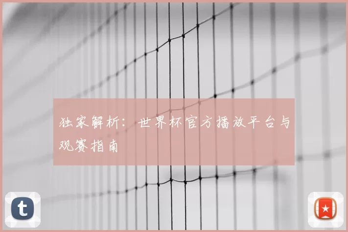 独家解析：世界杯官方播放平台与观赛指南