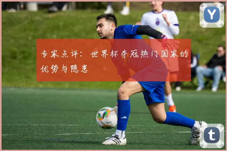 专家点评：世界杯夺冠热门国家的优势与隐患
