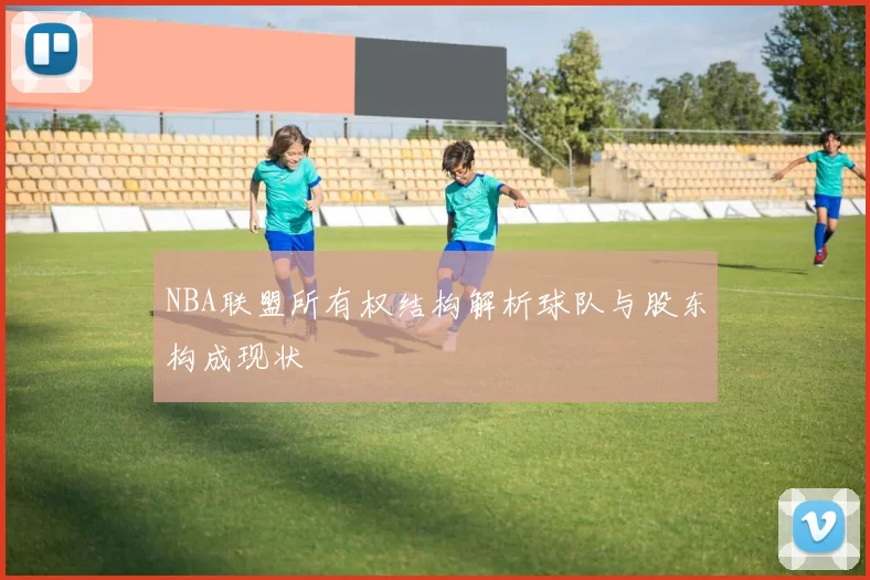 NBA联盟所有权结构解析球队与股东构成现状