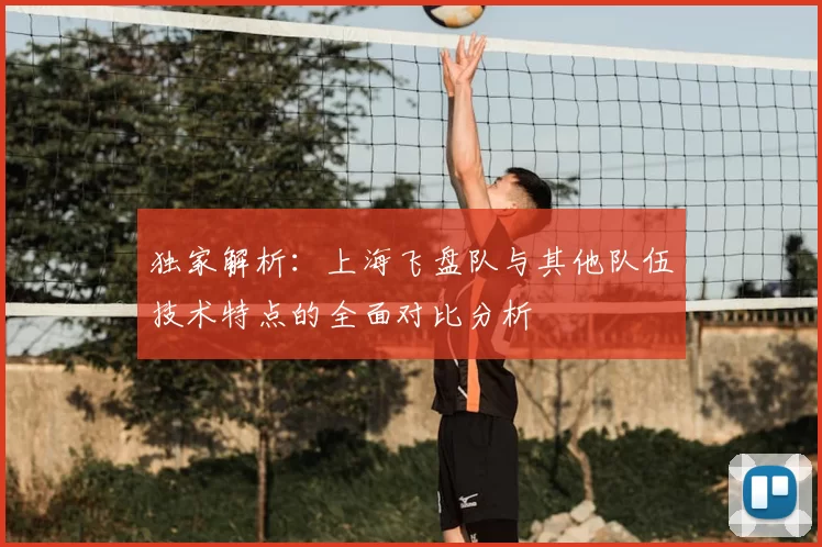 独家解析：上海飞盘队与其他队伍技术特点的全面对比分析