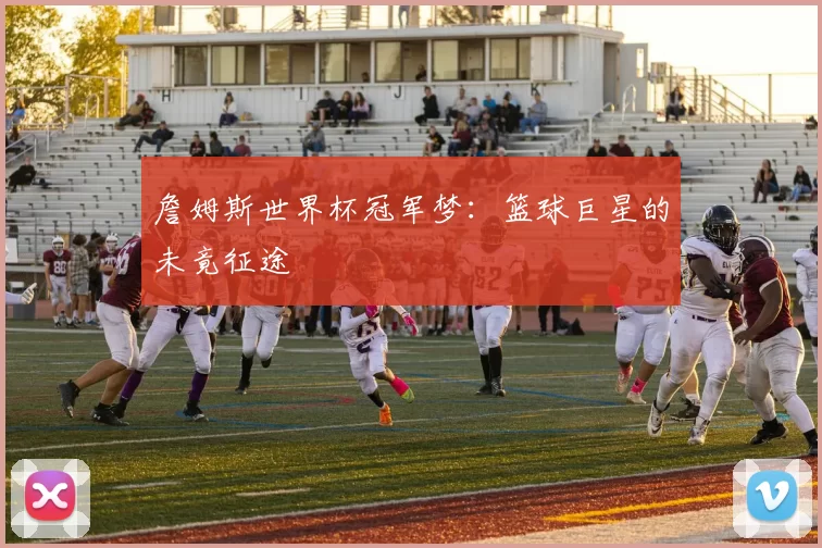詹姆斯世界杯冠军梦：篮球巨星的未竟征途
