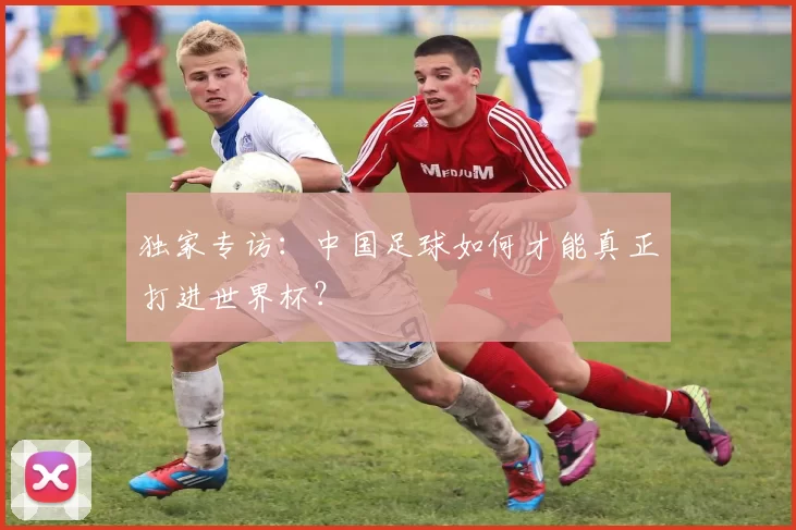 独家专访：中国足球如何才能真正打进世界杯？
