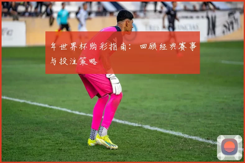 年世界杯购彩指南：回顾经典赛事与投注策略