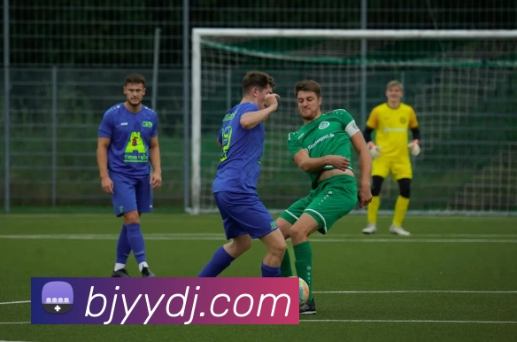 华体会APP 高清赛事图